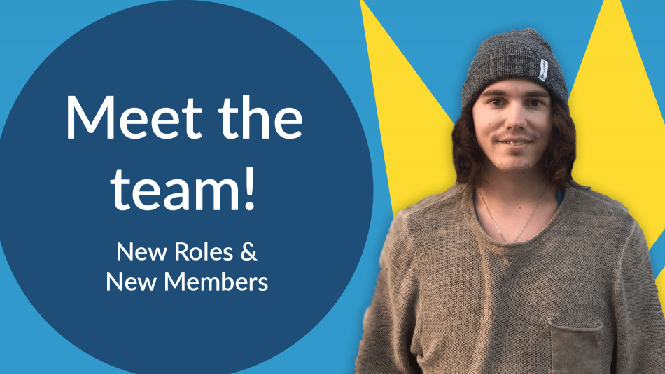 meet the team - new intern and new roles